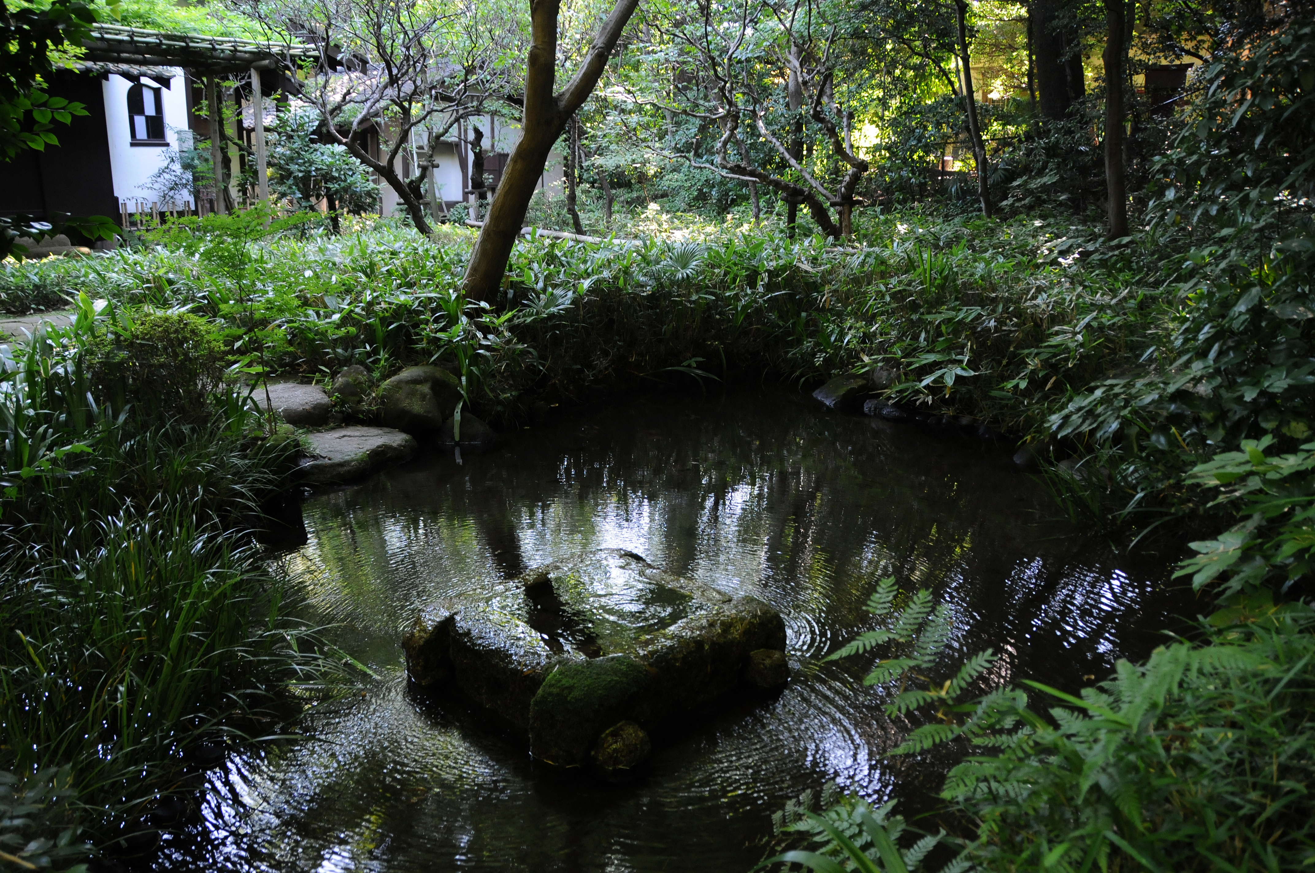 小金井市　美術の森緑地